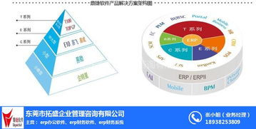 拓盛企業(yè)管理咨詢 食品公司ERP解決方案的專(zhuān)家指南